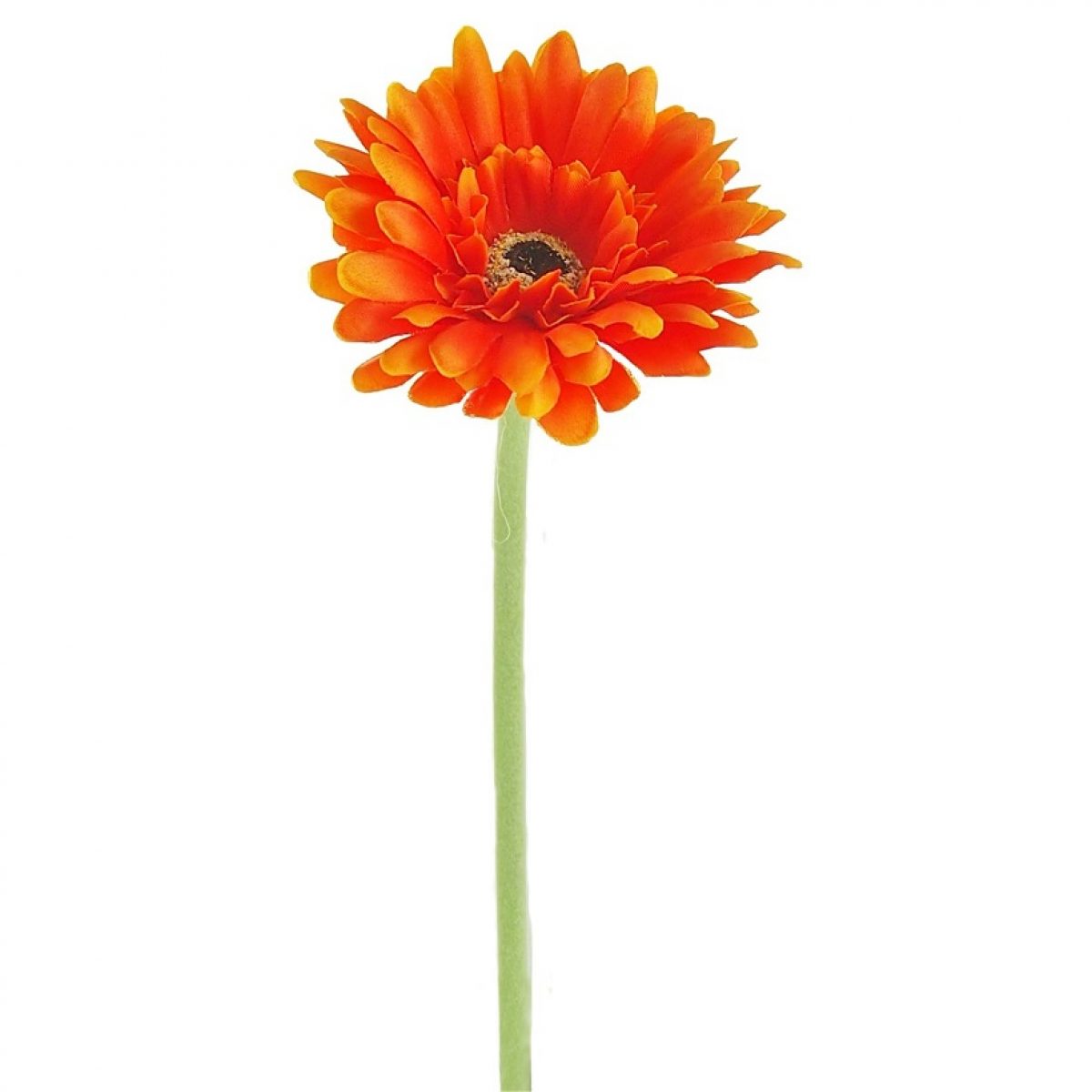 Orange gerbera deals