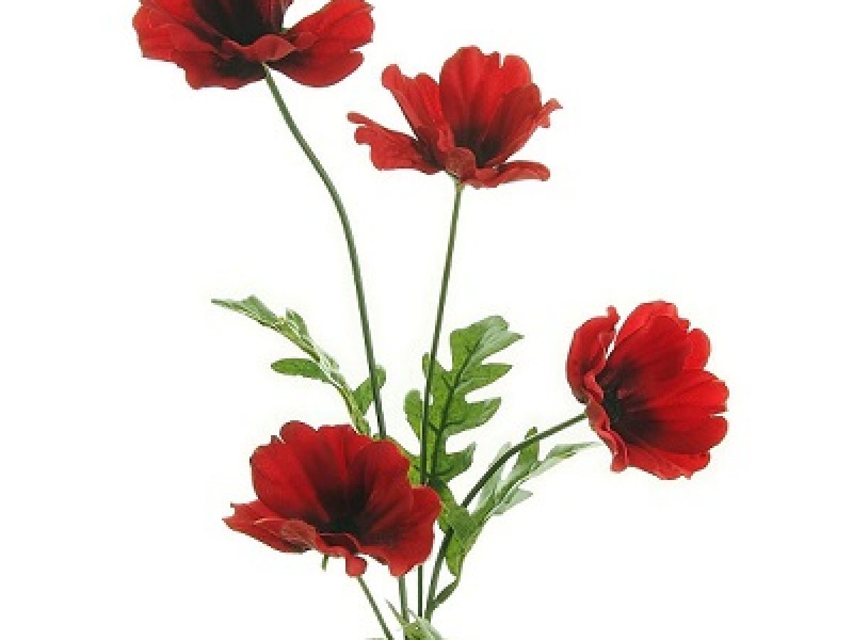 Poppy Florist Supplies - Artificial Flowers - Single Varieties